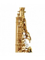 Saxophone Alto Mib verni - modèle étude