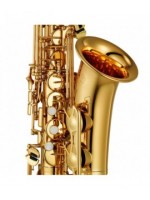 Saxophone Alto Mib verni - modèle étude