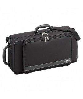 Saxophone Alto Mib verni - modèle étude