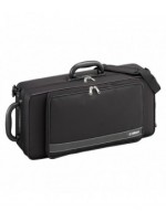 Saxophone Alto Mib verni - modèle étude