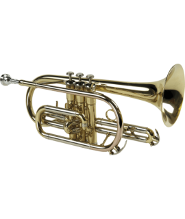 Cornet Sib verni - modèle étude