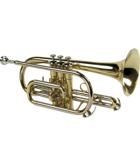 Cornet Sib verni - modèle étude