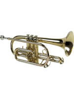 Cornet Sib verni - modèle étude