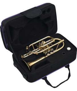 Cornet Sib verni - modèle étude