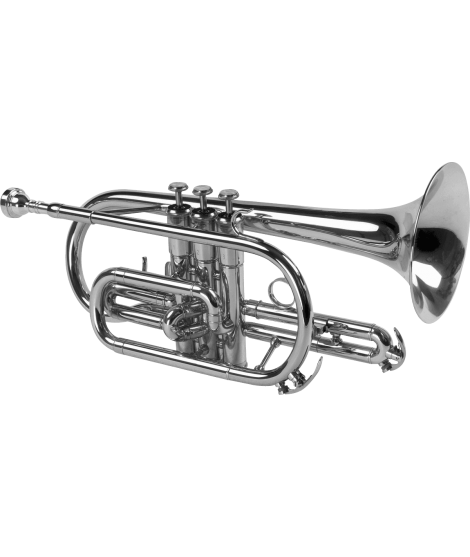 Cornet Sib argenté - modèle étude