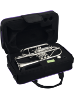 Cornet Sib argenté - modèle étude